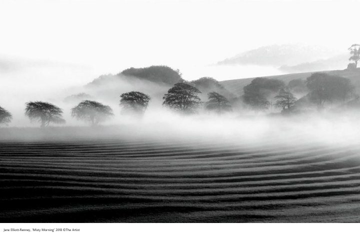 Landscape photograph of the South Downs by Jane Elliott-Renney titled ‘Misty Morning’ 2018 ©The Artist