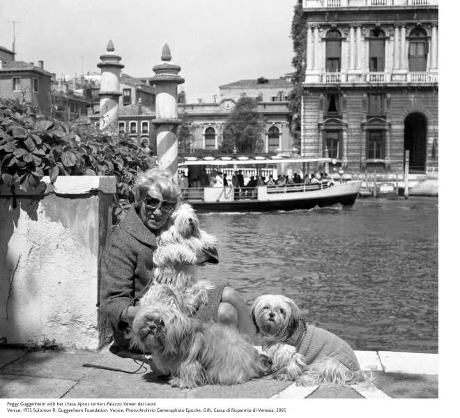 Peggy Guggenheim with her Lhasa Apsos terriers.Palazzo Venier dei Leoni