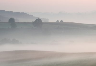 misty hills