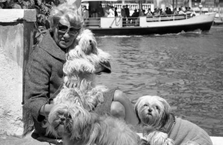 Peggy Guggenheim with her Lhasa Apsos terriers, on the terrace of Palazzo Venier dei Leoni; Venice, 1973