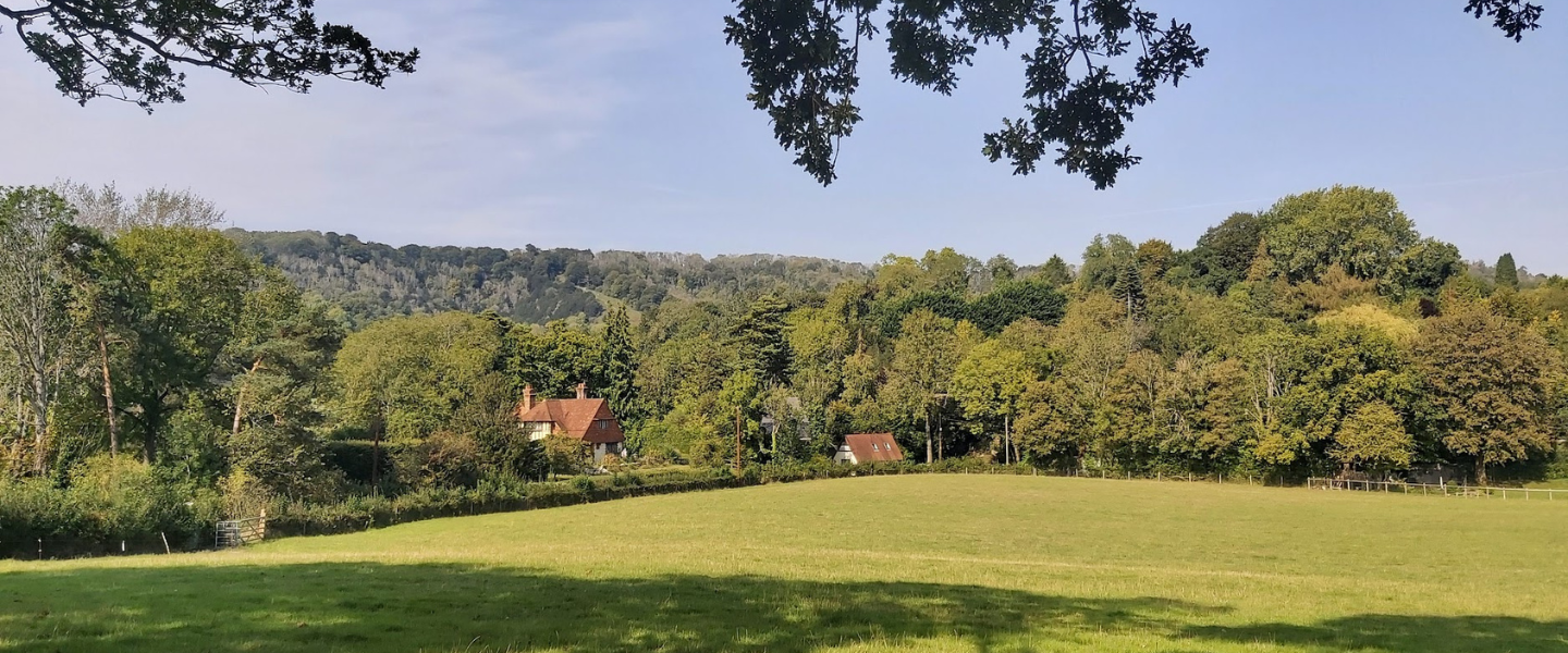 Looking out across a grassy field toward woodland and houses nestled in the hillside.