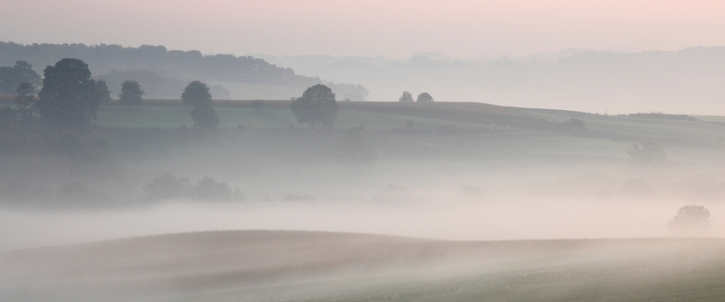 misty hills