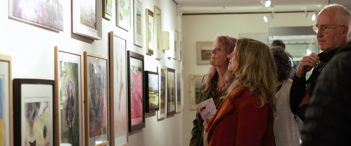 Visitors viewing South Downs Open in the Petersfield Gallery